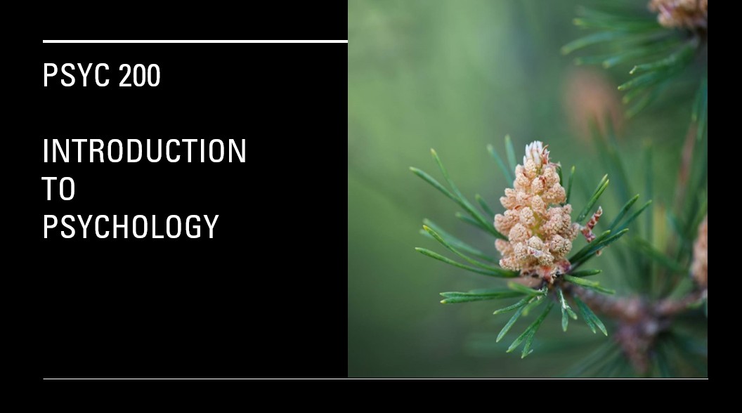 2025FA PSYC 200X LPU Online